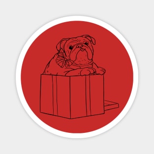 Illustrated cute english Bulldog jumping out of a present box Magnet